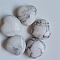 Natural Howlite Display Decorations, Home Decoration Supplies, Heart, 25x25x10mm