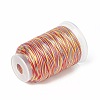 3-Ply Segment Dyed Nylon Thread Cord NWIR-F011-01G-2