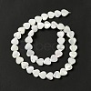 Natural Trochid Shell/Trochus Shell Beads Strands SHEL-F003-08A-5