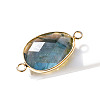 Natural Labradorite Connector Charms PW-WG32281-16-1