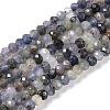 Natural Iolite Beads Strands G-G139-B11-01-1