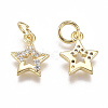 Brass Micro Pave Cubic Zirconia Charms X-ZIRC-F111-15G-2