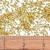 MIYUKI Delica Beads SEED-X0054-DB2157-4
