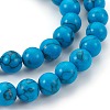 Synthetic Turquoise Beads Strands G-E511-02-8mm-3