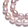 Natural Cultured Freshwater Pearl Beads Strands PEAR-N012-06W-5