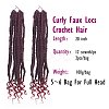 Curly Faux Locs Crochet Hair OHAR-G005-12A-5