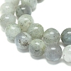 Natural Labradorite Beads Strands G-G828-01-8mm-3