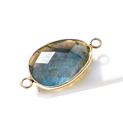 Natural Labradorite Connector Charms PW-WG32281-16-1