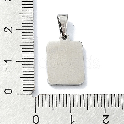 304 Stainless Steel Pendants STAS-C097-56P-02-1