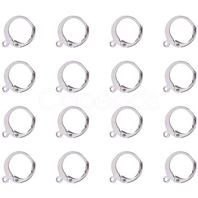 304 Stainless Steel Leverback Earring Settings STAS-PH0018-33P-1