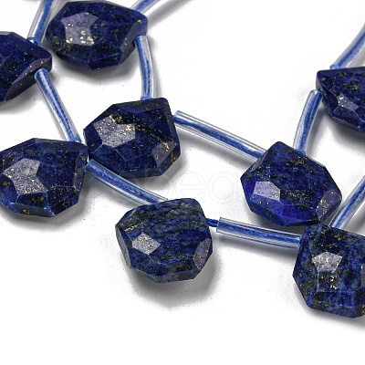 Natural Lapis Lazuli Beads Strands G-P544-C10-01-1