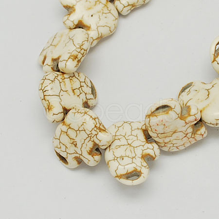 Gemstone Beads Strands TURQ-S205-16x21mm-1-1