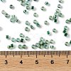 Glass Seed Beads X-SEED-S042-13A-18-4