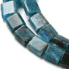 Natural Apatite Beads Strands G-F762-A19-01-4