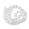 Transparent Electroplate Glass Beads Strands EGLA-F157-AB01-3