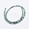 Natural African Turquoise(Jasper) Beads Strands G-E444-47-4mm-2