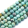 Natural Peruvian Turquoise(Jasper) Beads Strands G-E561-11-8mm-A-1