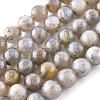 Natural Labradorite Beads Strands X-G-G212-8mm-23-4