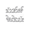 304 Stainless Steel Connector Charms STAS-N095-121-2