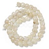 Natural Rainbow Moonstone Beads Strands G-P544-E06-01-3