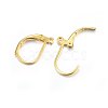 304 Stainless Steel Leverback Earring Findings STAS-P210-31G-2