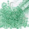 8/0 Glass Seed Beads X-SEED-A015-3mm-2218-1