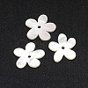 Natural White Shell Beads X-SSHEL-I008-03-2