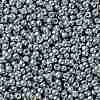 TOHO Round Seed Beads SEED-JPTR08-0565-2