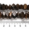 Natural Bronzite Beads Strands G-N327-05-17-5
