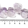 Natural Amethyst Beads Strands G-P528-K03-01-3
