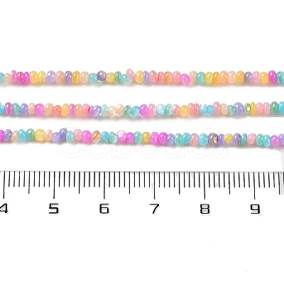 Natural Freshwater Shell Beads Strands SHEL-P017-01A-14-1