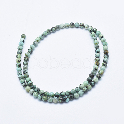 Natural African Turquoise(Jasper) Beads Strands G-E444-47-4mm-1