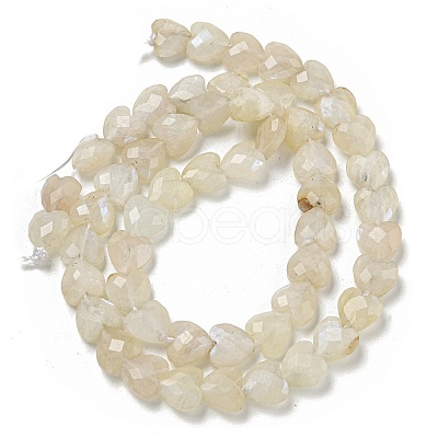 Natural Rainbow Moonstone Beads Strands G-P544-E06-01-1