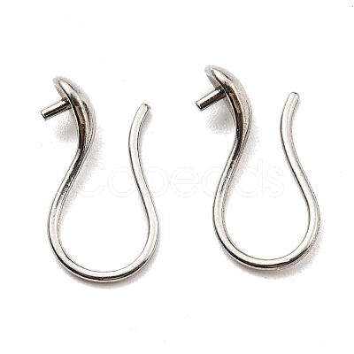 Non-Tarnish 316 Surgical Stainless Steel Earring Hooks STAS-G310-02P-1