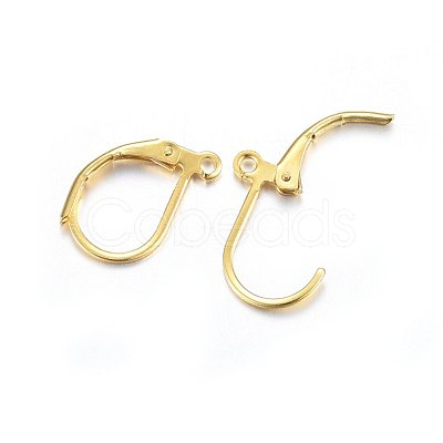 304 Stainless Steel Leverback Earring Findings STAS-P210-31G-1