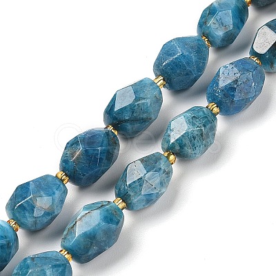 Natural Apatite Beads Strands G-P541-A01-06-1