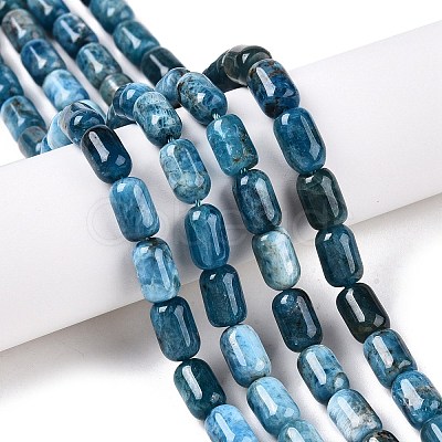 Natural Apatite Beads Strands G-G980-51B-1