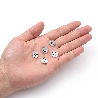 Non-Tarnish 304 Stainless Steel Charms STAS-Q201-T445-4S-1