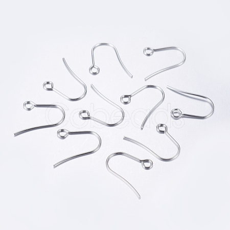 304 Stainless Steel Earring Hooks STAS-P162-13P-A-1