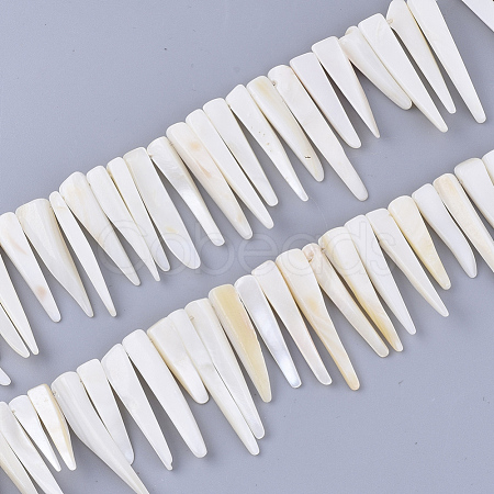 Freshwater Shell Beads Strands X-SHEL-S276-29A-1