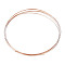 Copper Wires, Flat, Light Gold, 1x0.1mm, about 2.95~3.31 Feet(0.9~1.01m)/Strand