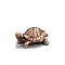 Turtle Alloy Incense Burners, Incense Holders, Home Office Teahouse Zen Buddhist Supplies, Red Copper, 40x15x25mm