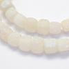 Natural Weathered Agate Beads Strands G-G705-10mm-04-3