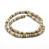 Natural Fossil Coral Beads Strands G-F481-06-5mm-2