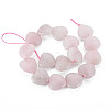 Natural Rose Quartz Beads Strands G-S359-342-2