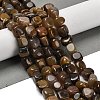 Natural Petrified Wood Beads Strands G-P497-01E-72-2