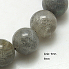 Natural Labradorite Beads Strands G-G212-6mm-23-1