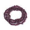 Natural Garnet Chip Beads Strands X-G-L491-06-3