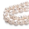 Natural Cultured Freshwater Pearl Beads Strands PEAR-L033-41B-01-2
