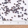 MIYUKI Delica Beads X-SEED-J020-DB0884-4